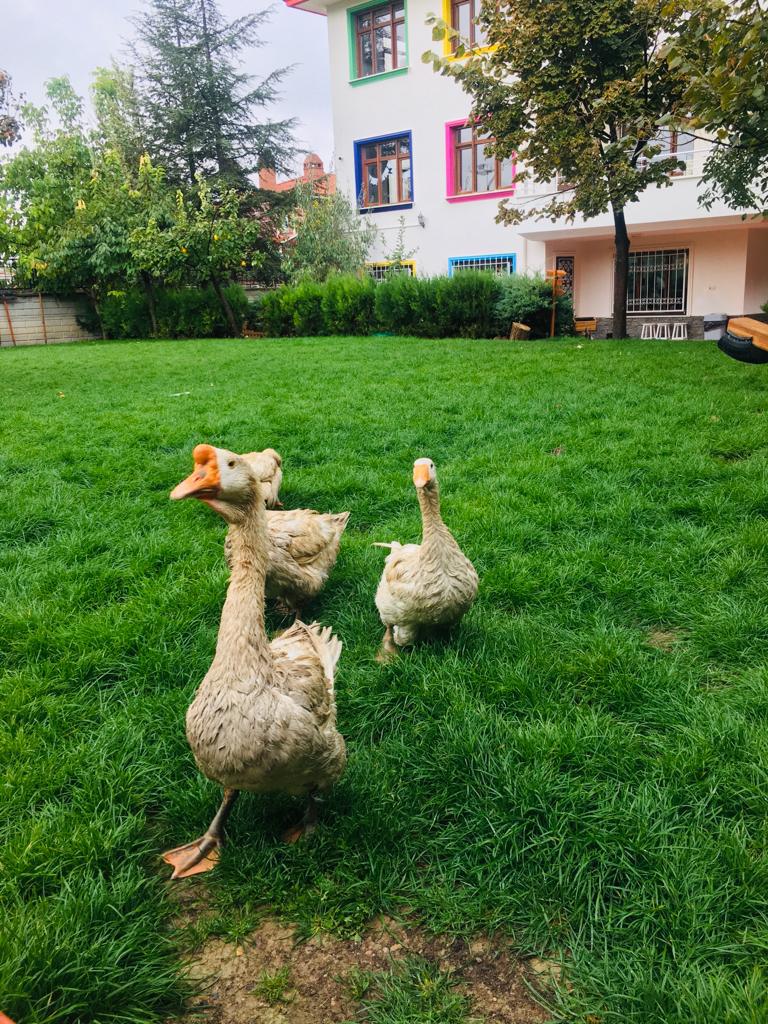 Fen/Bilim/Doğa