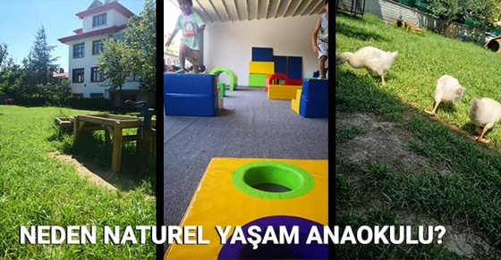 Neden Natural Yaşam Anaokulu ?