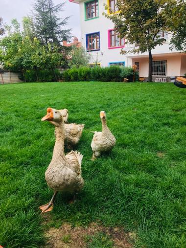 Fen/Bilim/Doğa